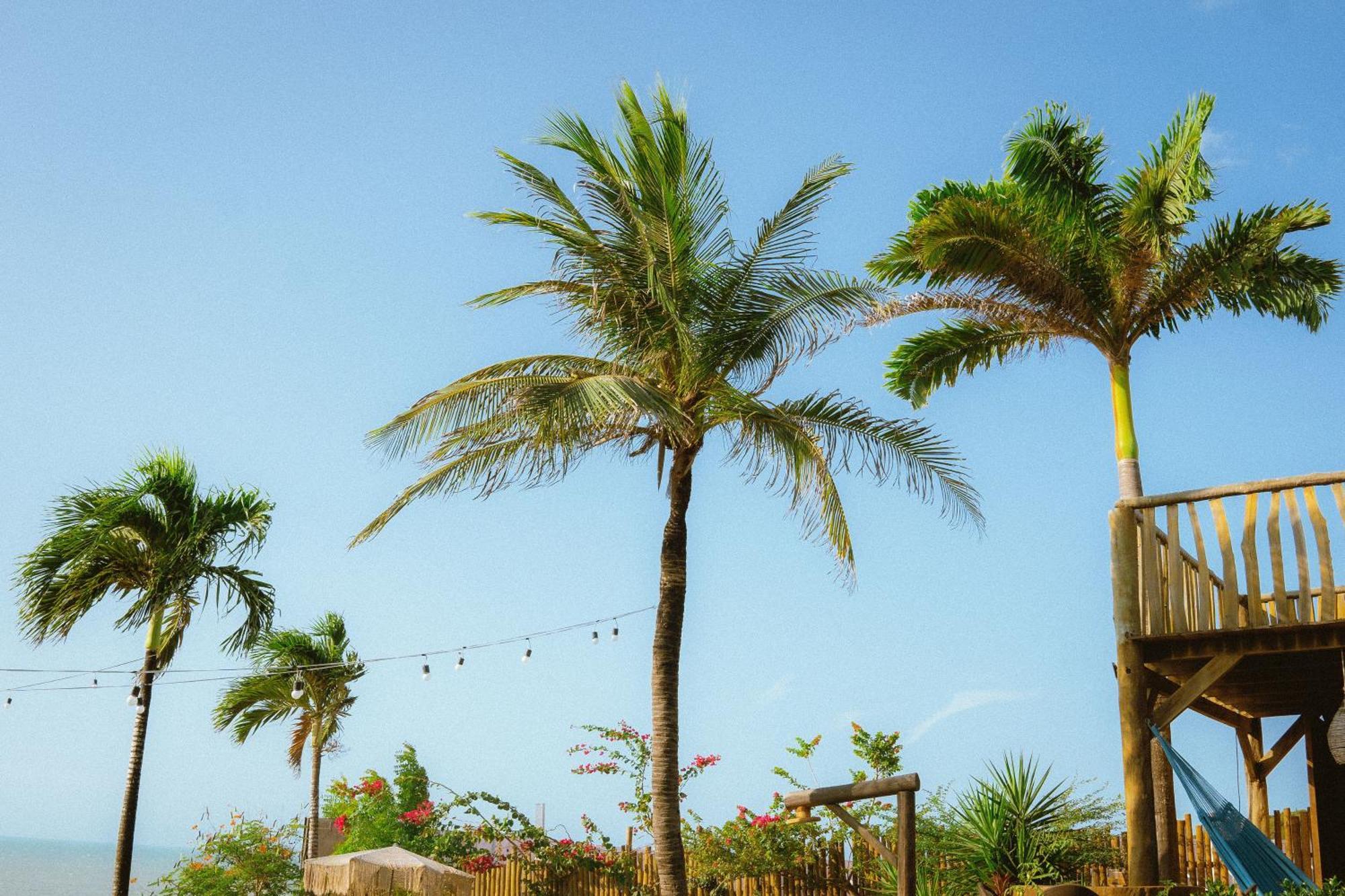 Hurricane Jeri Jijoca de Jericoacoara Zewnętrze zdjęcie